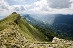 Pyreneene